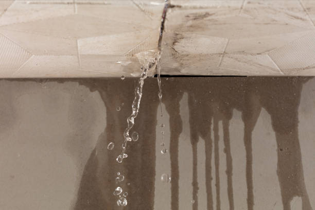 Professional Water Damage Repair technician working in Tulia, TX